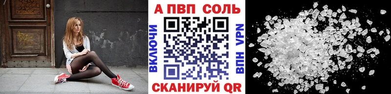 A PVP СК  Новочеркасск 