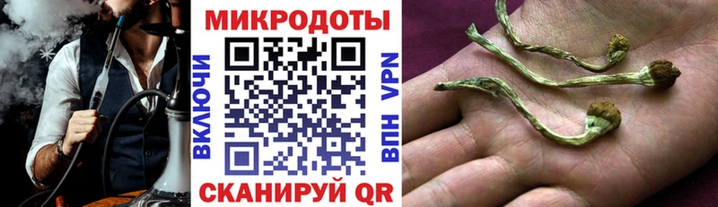 Галлюциногенные грибы мухоморы  Новочеркасск 